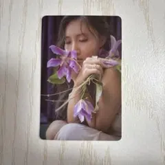 2026年最新】mamamoo ファサの人気アイテム - メルカリ