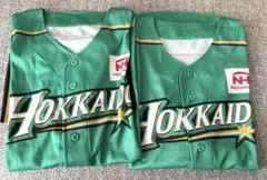 2026年最新】北海道日本ハムファイターズ 野球 応援グッズ