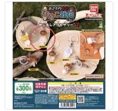 なめこ栽培キット めじるしアクセサリー2