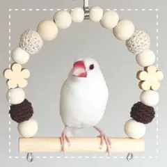 ことりのブランコ ピンクのいちご畑 文鳥 インコ おもちゃ 止まり木