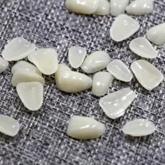 Item thumbnail for item b29a5307-26fb-4c88-8a19-1b2bb79ceaa1