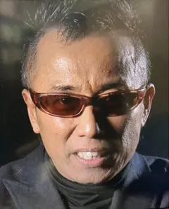 2026年最新】長渕剛 着用サングラスの人気アイテム - メルカリ