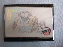 鬼滅の刃 無限城編 ムービーチケット風コレクションカード 竈門炭治郎 冨岡義勇