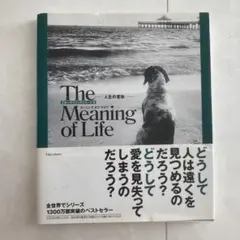 Item thumbnail for item 3d111e9e-8a83-43e3-9676-dba6f068730a