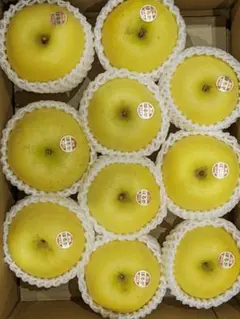 Rusty様専用特秀品 はるか ３ｋｇ箱 岩手県産 減農薬栽培 りんご 贈答用