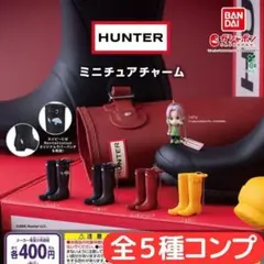 HUNTER ミニチュアチャーム 全5種 コンプ