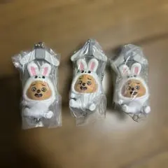 SKZOO つまんでつなげてますこっと vol.2