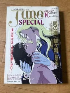 【希少】小説June1992年11月号　間の楔 塩沢兼人 希少】小説June1992年11月号 間の楔 塩沢兼人 - メルカリ