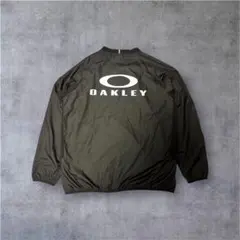 Item thumbnail for item 5d495170-8aa8-4631-a511-93be6ecfd0f7