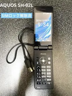 Item thumbnail for item 34b3de46-2ecc-4176-91b5-3a104d9d9efc