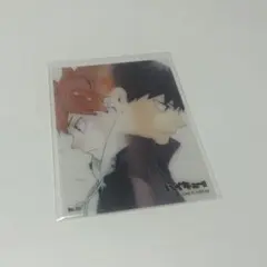 ハイキュー!! 日向翔陽 影山飛雄 クリアカード