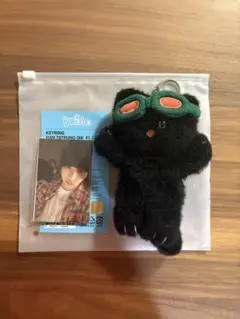 BOYNEXTDOOR プネクド テサン キーリング