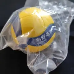 Item thumbnail for item 737f4b62-0be9-4fb9-8c20-cbac2c4c2ef2