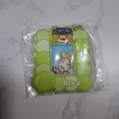 カラフルピーチ ミニフォトケース シヴァ