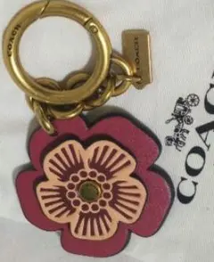 Item thumbnail for item 5b03a6c8-0364-4c33-9e61-7e37757dfab0