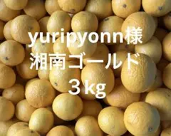 yuripyonn☆様　湘南ゴールド3kg