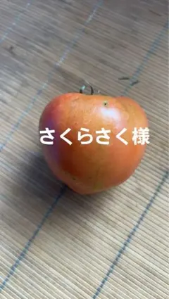 さくらさく様専用