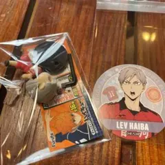 ハイキューチョコエッグ(灰羽リエーフ)