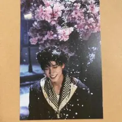 &TEAM andTEAM 雪明かり ポストカード　TAKI タキのサムネイル