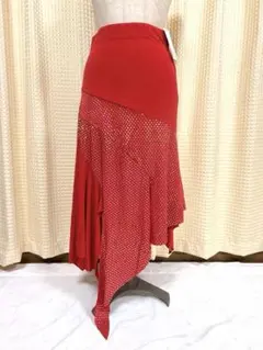 ⭐︎新品タグ付き☆ 社交ダンス スカート
