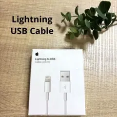 Apple Lightning to USB Cable (0.5m)