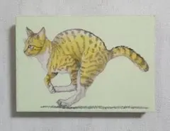 木原千春5分間ドローイング/CATエスキース4 - メルカリ