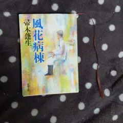 Item thumbnail for item b6816f8a-865d-4731-9a42-62011ffbd260