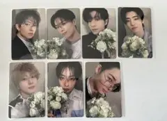 ENHYPEN daydream yzy 花束 セット コンプリート　7枚 D