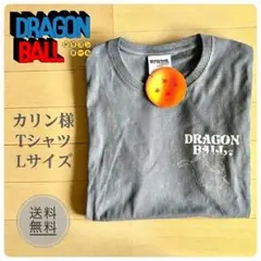 2026年最新】四星球tシャツの人気アイテム - メルカリ