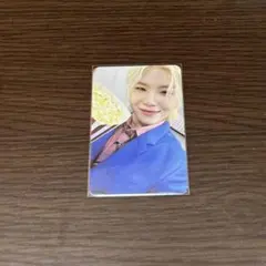 STF 封入 Carat盤 ウジ