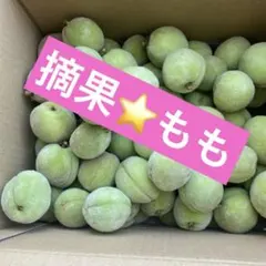 もも 桃 摘果⭐️山形県産⭐️加工用⭐️箱込み 5キロのサムネイル