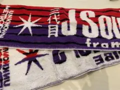 三代目J Soul Brothers メトロポリス　ライブグッズ　マフラータオル