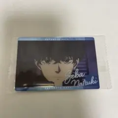 サカモトデイズウエハース2