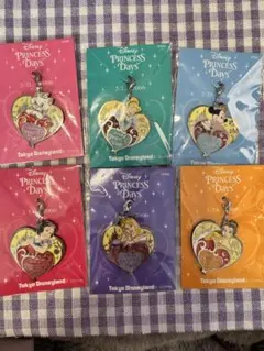 東京ディズニーランド　プリンセスデイズ　チャームセット★