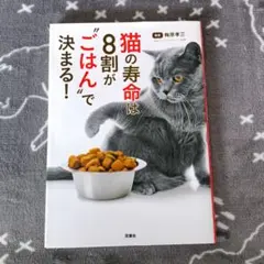 猫の寿命は、8割が"ごはん"で決まる!