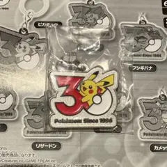 ポケモン30周年 メタルチャームマスコット めじるしアクセサリー ピカチュウ