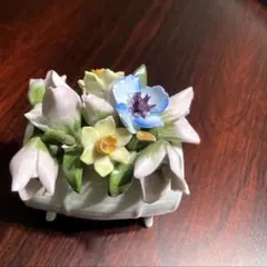 陶花　エインズレイ