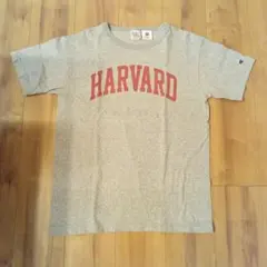 Champion HARVARD Tシャツ T1011 杢グレー　usa製