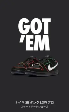 Bronx Girls Skate × Nike SB Dunk Low Pro