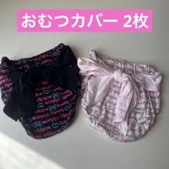 Item thumbnail for item 10ca9e96-957c-467e-aa5e-5010891abbc6