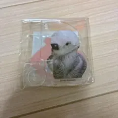 メイ ハート型缶バッジ お手 カプくじ×鳥羽水族館 ラッコのメイちゃん