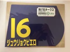 JRA 競馬 ミニゼッケン オークス ジュウリョクピエロ 今村聖奈 - メルカリ