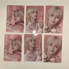 アンドハニージョンハン カード6枚セット