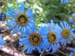 黄色まねきねこ♬様 リクエスト 2点 まとめ商品