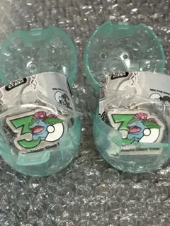 ポケモン 30周年 メタルチャームマスコット　フシギバナ2つセット