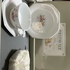 ノリタケ カップソーサー、プレート パストラーレ