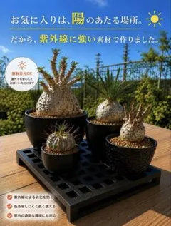 新品未使用 アウトレット(箱不良) 焚き火台 Rust color(サビ色) - メルカリ