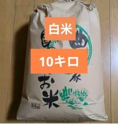 島根県産】コシヒカリ島根米 白米 産地直送 15kg - メルカリ