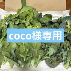 coco様専用新鮮野菜2点セ