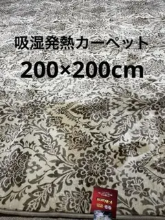 温泉気分カーペット正方形　約2,5畳　200×200cm ベージュ